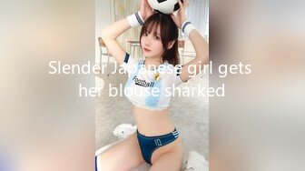 Slender Japanese girl gets her blouse sharked