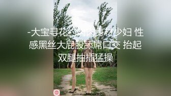 -大宝寻花约肉肉身材少妇 性感黑丝大屁股舔屌口交 抬起双腿抽插猛操