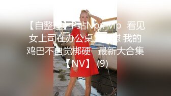 【自整理】P站Npx-vip  看见女上司在办公桌上自慰 我的鸡巴不自觉梆硬   最新大合集【NV】 (9)