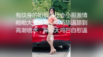 【用利抽插】极品反差婊，温婉女神，相拥转圈圈，椅子上抠穴玩出新花样，爆菊，精彩佳作