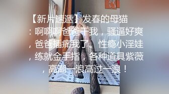 气质大奶极品妹 高清拍摄镜头前口交 翘起屁股后入撞击晃动奶子