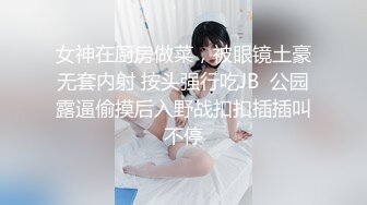 TW厕拍大神(老麦系列)潜入学校附近餐厅女厕偷拍几个高中学妹尿尿