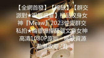 【全網首發】【稀缺】【群交派對★視覺盛宴】極品紋身女神『Meaw』2023性愛群交私拍★輪番爆操騷貨文身女神 高清1080P原版～稀缺資源勁爆收藏 (3)