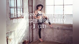 车震白领少妇 口交 女上位