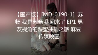 星空传媒 母狗or女王 幻想温柔乡反差老婆两级反转