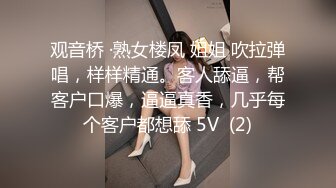 安静的乖乖女 2