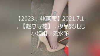 DLV-001 新・絶対的美少女、お貸しします。 ACT.117 百仁花