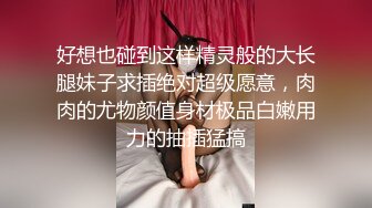 黏黏团子兔 NO.039 女仆小叽