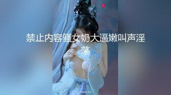 STP26757 情趣耳朵新人网红女神！首次收费美乳粉穴！小尺寸假屌插穴 手指扣弄 翘起大肥臀掰开小穴 VIP0600