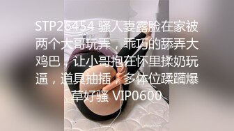 2/17最新 约炮修长美腿情趣空姐诱惑吸吮舔屌各种姿势暴力输出VIP1196