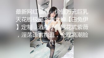 新人大神的副驾从来不缺美女【冰妹999】从学生妹到都市丽人，每一晚都有新的体验，车震女神的奶子好极品 (3)