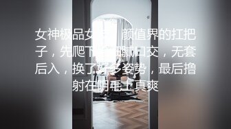 《精品⭐推荐》推特专注素人的摄影大神【素人摄影】大尺度私拍视图无网红无模特只有普通人淫妻未婚妻孕妇良家744P 30V