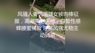 麻豆传媒-南国性爱旅程 火热浪漫的滨海行 无套性爱女优吴梦梦