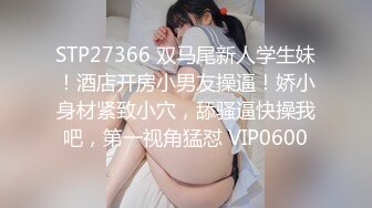 麻豆傳媒 MD0261 偷情俏麗人妻 放進去壹下下就好