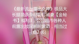 《最新流出露出女神》极品大长腿苗条身材阴钉骚妻【金秘书】福利3，公园超市各种人前露出放尿啪啪紫薇，相当过瘾2 (6)