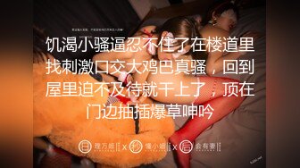 国产麻豆AV MD MD0097 水电工操翻淫荡少妇 性感美少妇 新晋女优 夏晴子