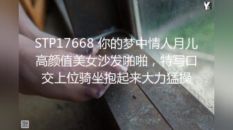 精品中文字幕无码不卡在线