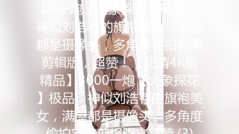 ★☆【超清4K版精品】★☆3000一炮【大象探花】极品，神似刘浩存的旗袍美女，满屋都是摄像头，多角度偷拍完美剪辑版，超赞！【超清4K版精品】3000一炮【大象探花】极品，神似刘浩存的旗袍美女，满屋都是摄像头，多角度偷拍完美剪辑版，超赞 (3)