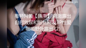 美腿超级卡哇伊萝莉兔兔酱 (2)