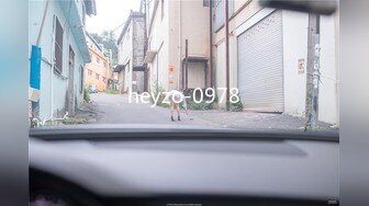 heyzo-0978