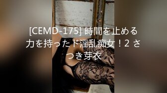 12号-女仆装要求深一点